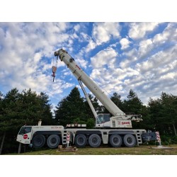Grúa hidráulica telescópica DEMAG AC 250-1